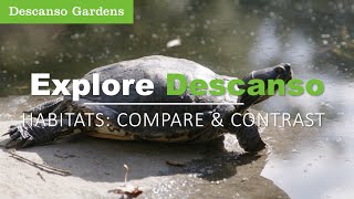 Habitats are different from one another, but still provide animals with what they need to survive. Compare and contrast different habitats at Descanso and learn about the animals that call the gardens home.
